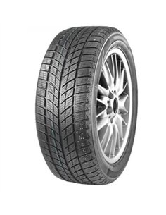 DOUBLESTAR WINTERKING DW09 235/55 R20 102H