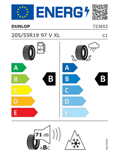DUNLOP WINTER 205/55 R19 97V XL 2
