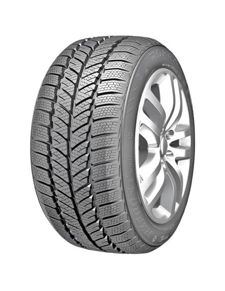 ROADX RXFROST WH01 205/60 R15 91H