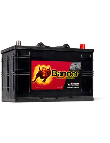 BANNER Buffalo Bull 12V 110Ah 800A - Borna Normala (dreapta +)