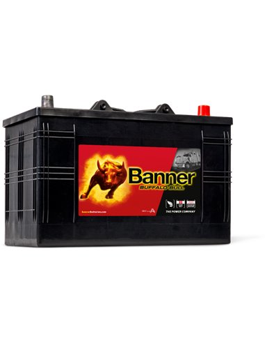BANNER Buffalo Bull 12V 110Ah 800A - Borna Normala (dreapta +)