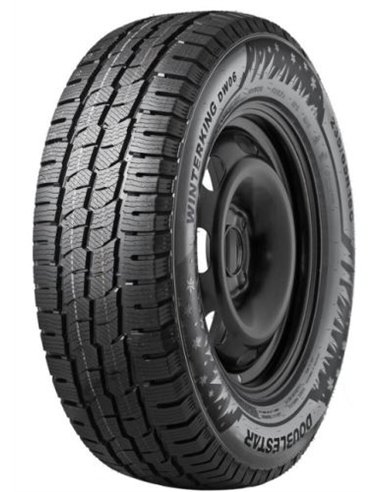 DOUBLESTAR WINTERKING DW06 205/65 R16C 107/105R DOUBLESTAR WINTERKING DW06 205/65 R16C 107/105R
