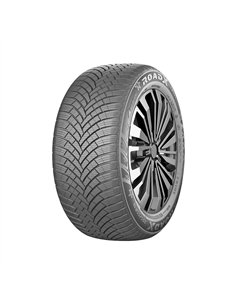 ROADX FROST 195/65 R15 91T