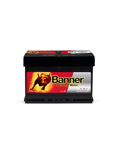 BANNER Power Bull PROfessional 12V 100Ah 820A