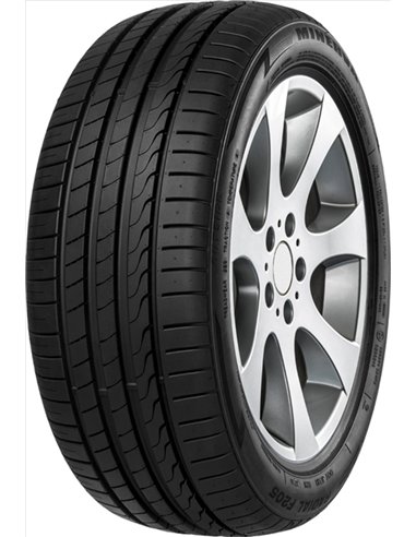 MINERVA F205 245/45 R17 99W XL