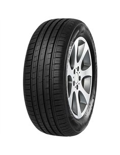 MINERVA F209 205/55 R16 91H